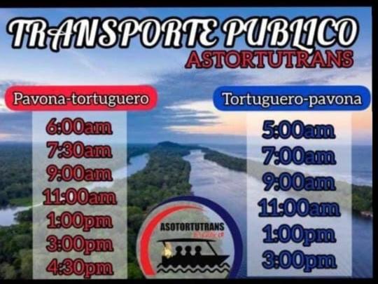 Casa Turtle Bogue Ξενοδοχείο Tortuguero Εξωτερικό φωτογραφία
