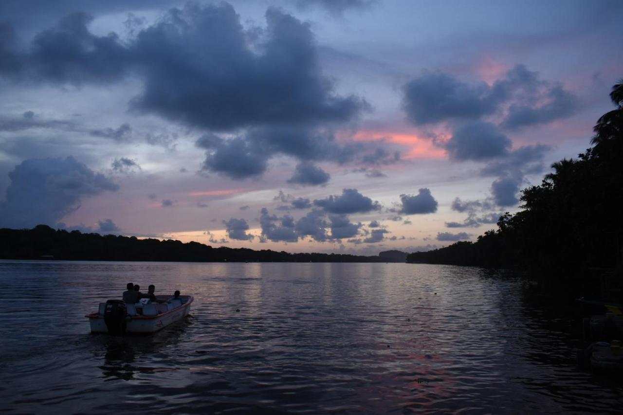 Casa Turtle Bogue Ξενοδοχείο Tortuguero Εξωτερικό φωτογραφία