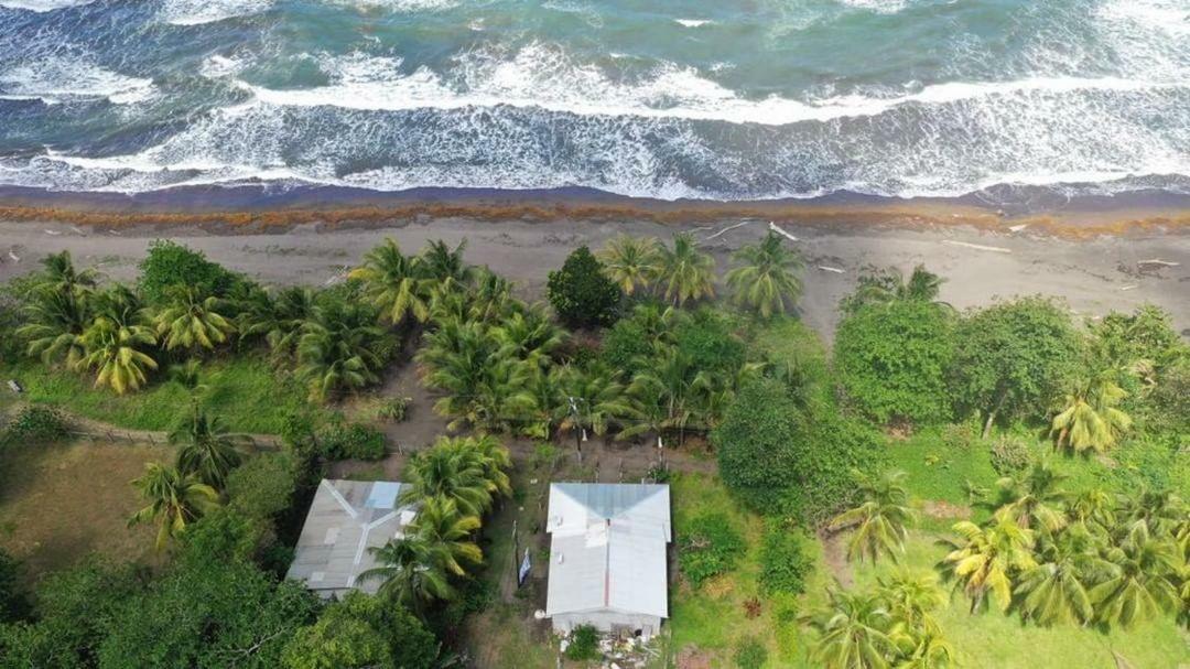 Casa Turtle Bogue Ξενοδοχείο Tortuguero Εξωτερικό φωτογραφία